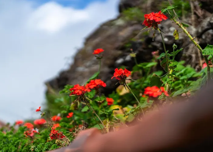 Guestready - Casa Do Feno 3*