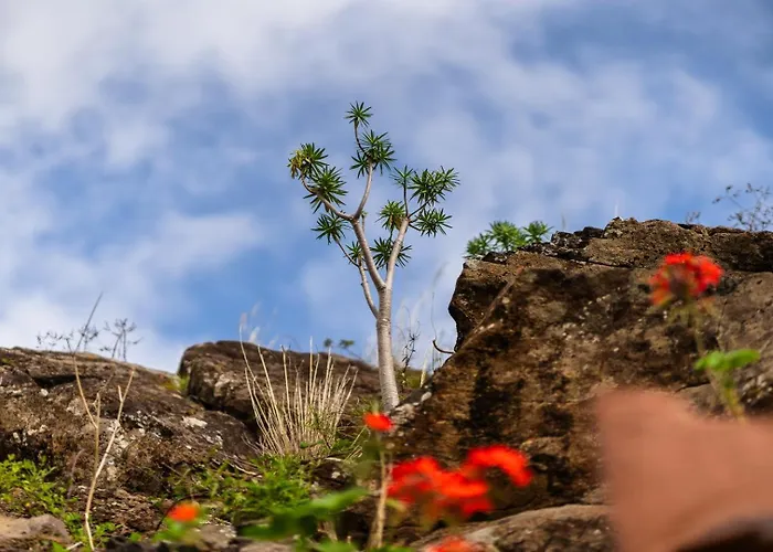 Guestready - Casa Do Feno Гостевой дом